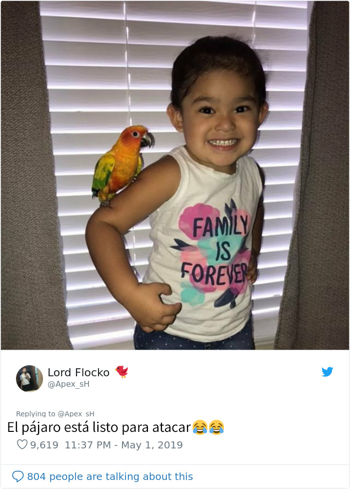 Esta niña entrena a su pájaro para atacar a quien ella quiera, y parece una supervillana