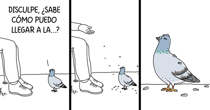 Muestro lo que dirían los pájaros si pudieran hablar (20 imágenes)