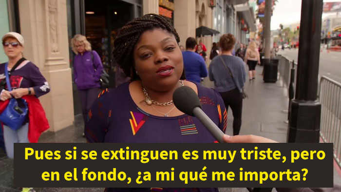 Jimmy Kimmel pregunta a la gente si deberíamos salvar al Homo Sapiens, y las respuestas muestran el nivel de estupidez