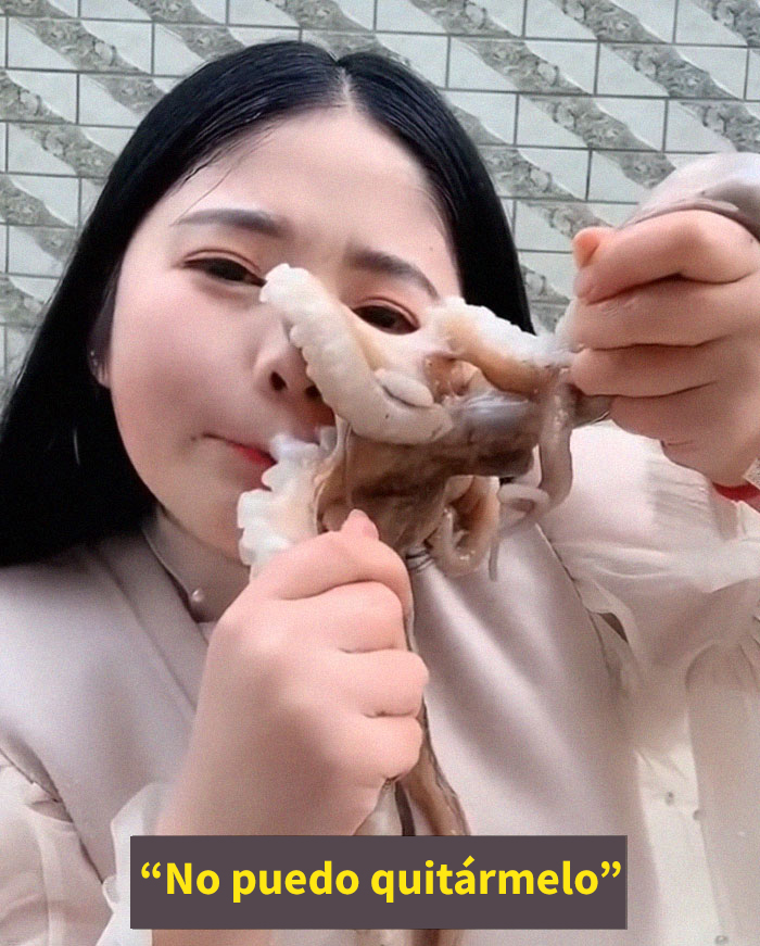 Este pulpo atacó a una mujer que intentó comérselo vivo Este pulpo atacó a una mujer que intentó comérselo vivo