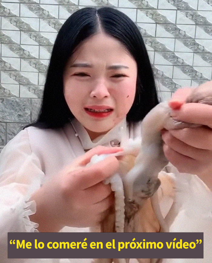 Este pulpo atacó a una mujer que intentó comérselo vivo Este pulpo atacó a una mujer que intentó comérselo vivo