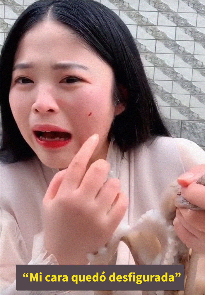 Este pulpo atacó a una mujer que intentó comérselo vivo Este pulpo atacó a una mujer que intentó comérselo vivo