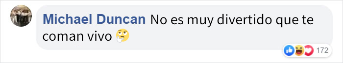Este pulpo atacó a una mujer que intentó comérselo vivo Este pulpo atacó a una mujer que intentó comérselo vivo