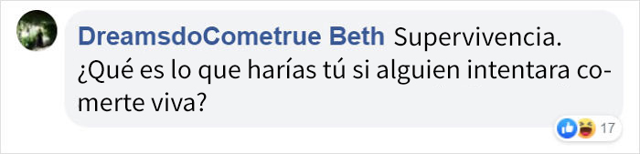 Este pulpo atacó a una mujer que intentó comérselo vivo Este pulpo atacó a una mujer que intentó comérselo vivo