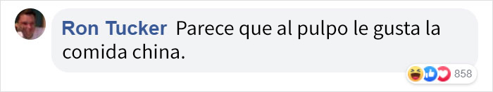Este pulpo atacó a una mujer que intentó comérselo vivo Este pulpo atacó a una mujer que intentó comérselo vivo