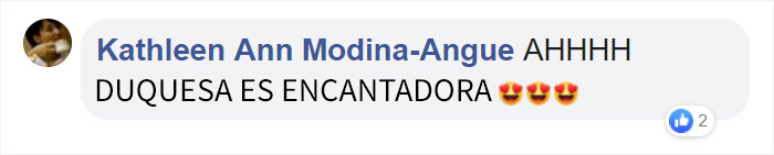 Estos dueños llamaron a su gata Duquesa, y luego ella dio a luz a todos los gatitos de Los Aristogatos