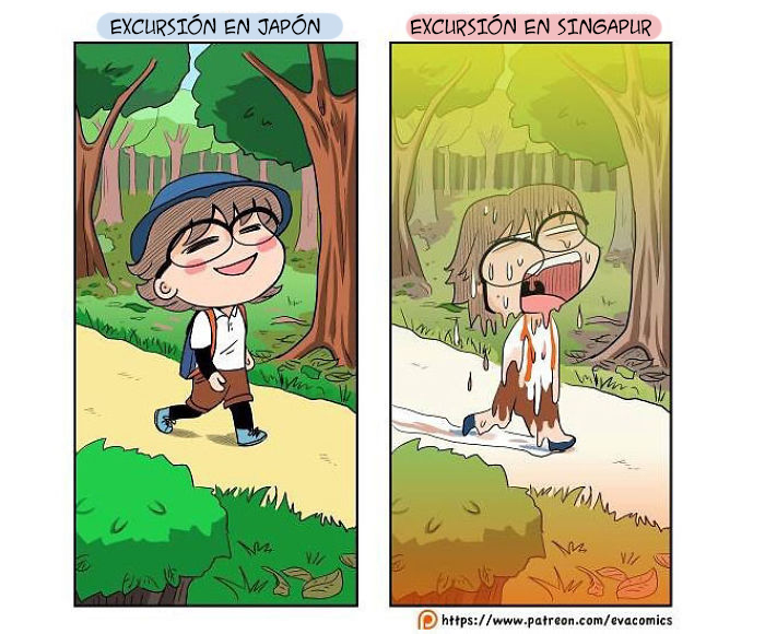 Excursiones
