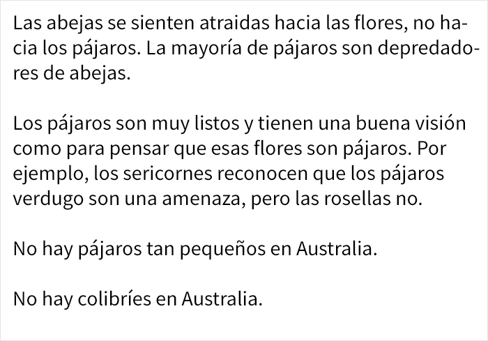 Los pétalos de esta flor parecen colibríes