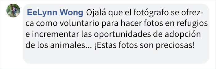Esto es lo que ocurre cuando un fotógrafo te cuida al gato (10 imágenes)