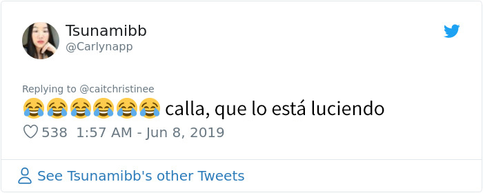 Este padre llevó al gato familiar a la peluquería y volvió con algo que parece un gato acordeón