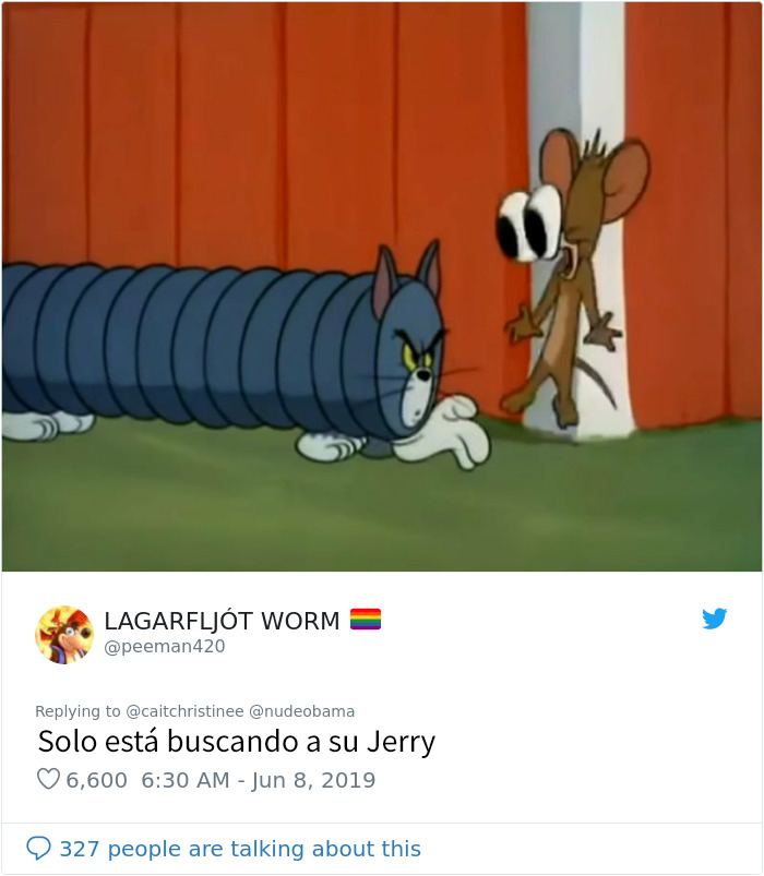 Este padre llevó al gato familiar a la peluquería y volvió con algo que parece un gato acordeón