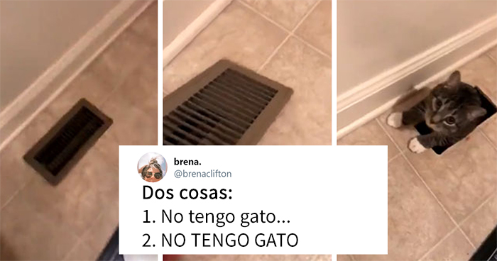 20 Divertidos tuits sobre gatos