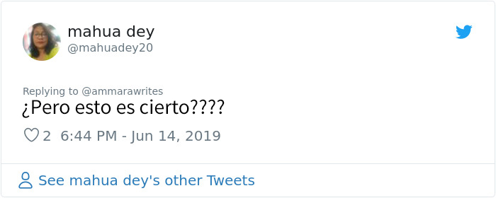 El gobierno de Pakistán enciende accidentalmente el filtro de gato durante una rueda de prensa en vivo por Facebook, y todos se ríen