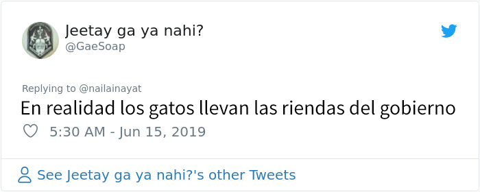 El gobierno de Pakistán enciende accidentalmente el filtro de gato durante una rueda de prensa en vivo por Facebook, y todos se ríen
