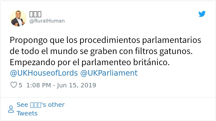 El gobierno de Pakistán enciende accidentalmente el filtro de gato durante una rueda de prensa en vivo por Facebook, y todos se ríen