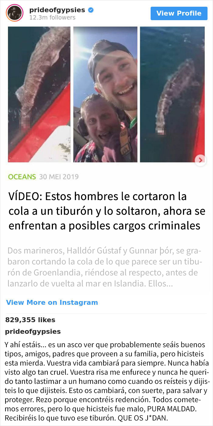 Se vuelve viral el mensaje de Jason Momoa a 2 pescadores que cortaron la cola de un tiburón y lo devolvieron al mar