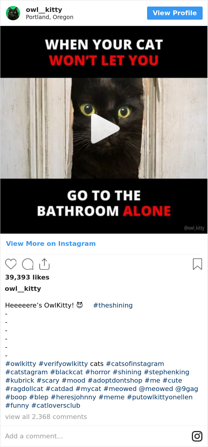 Cuando Tu Gato No Te Deja Ir Al Baño Solo