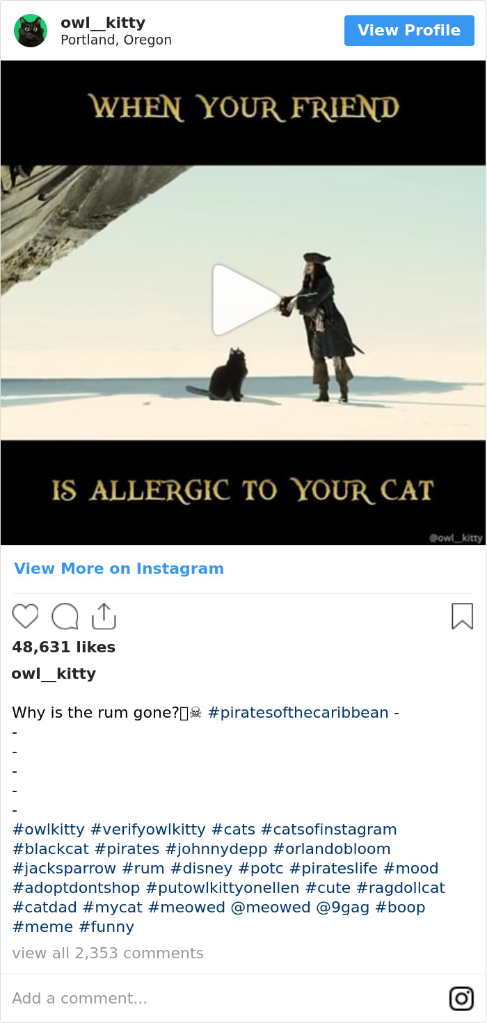Cuando Tu Amigo Tiene Alergia A Tu Gato