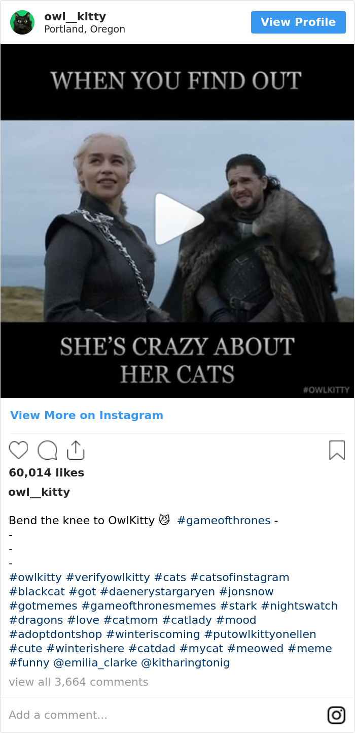 Cuando Descubres Que Está Loca Por Los Gatos