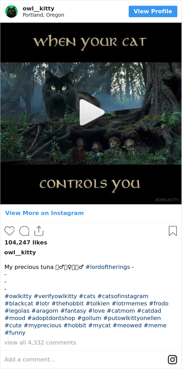 Cuando Tu Gato Te Controla
