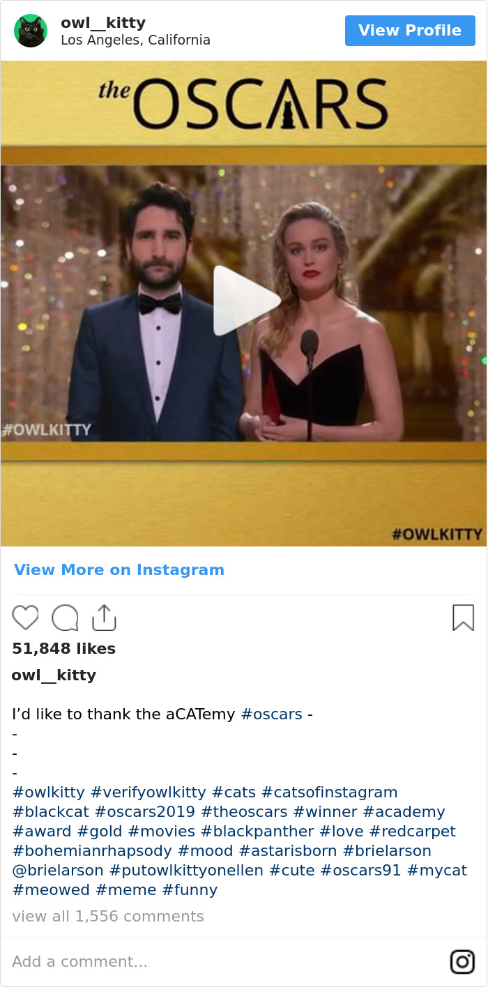 Los Oscars