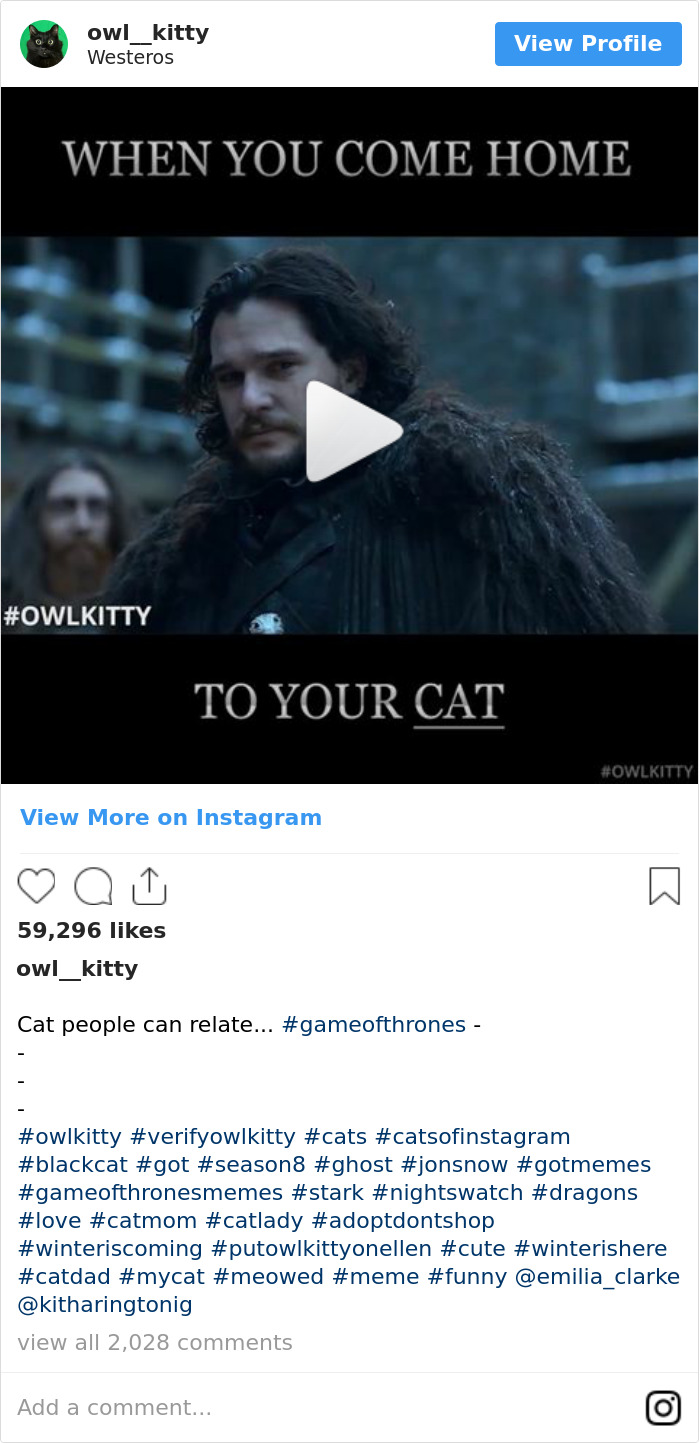 Cuando Llegas A Casa Donde Espera Tu Gato