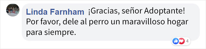 Este hombre rescató a un Beagle de ser sacrificado en un refugio, y el perro, agradecido, le dio un abrazo