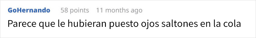 El animal que posiblemente tenga el aspecto más risible del mundo parece el dibujo de un niño que ha cobrado vida