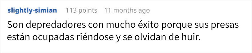 El animal que posiblemente tenga el aspecto más risible del mundo parece el dibujo de un niño que ha cobrado vida