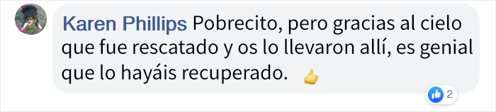 Rescatan a un ave "exótica" que no podía volar, resultó ser una gaviota cubierta de curry