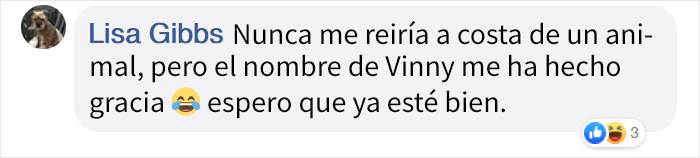 Rescatan a un ave "exótica" que no podía volar, resultó ser una gaviota cubierta de curry