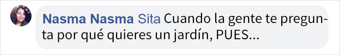 Por 100$ puedes convertir tu jardín en una dimensión paralela, con este aspersor Demogorgon de casi 2 metros