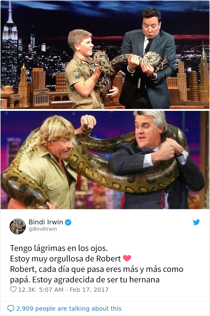 11 Fotos comparando a Irwin padre e hijo que demuestran que de tal palo, tal astilla