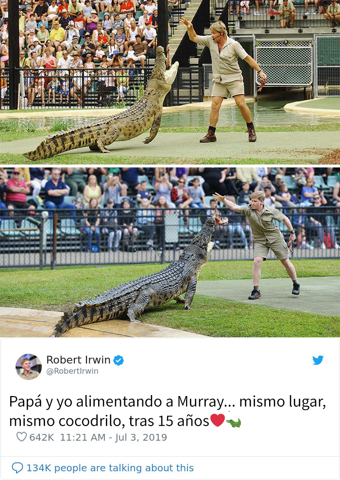 11 Fotos comparando a Irwin padre e hijo que demuestran que de tal palo, tal astilla
