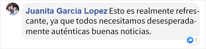 Este niño autista de 7 años volaba solo con una nota explicativa y 10$, pero tuvo al mejor compañero