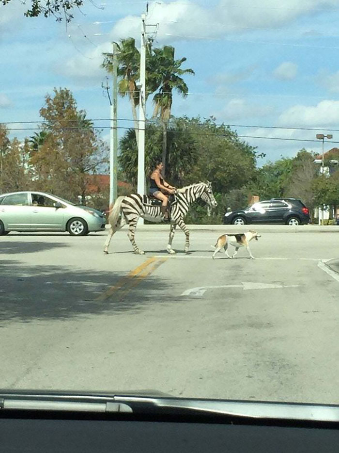 Mientras Tanto En Florida