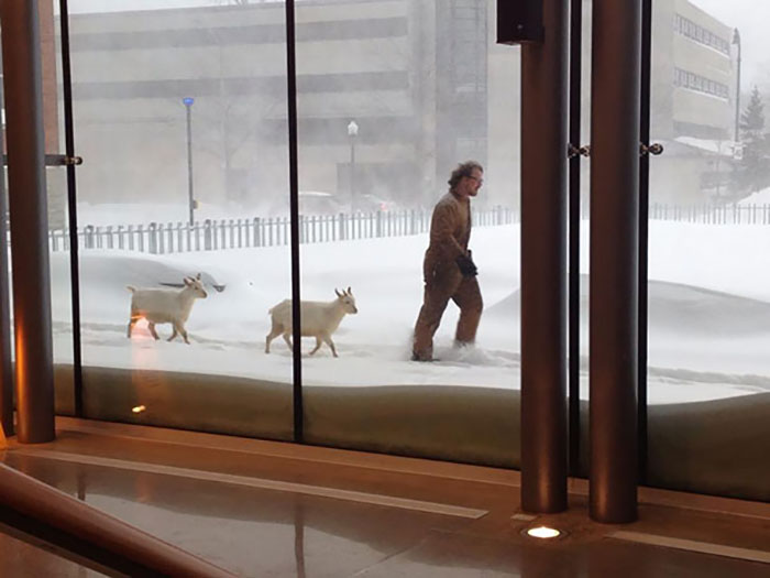 Mientras Tanto En Canadá