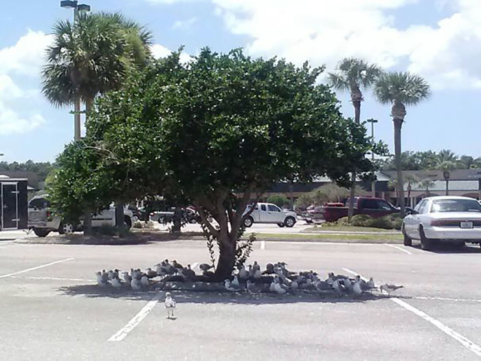 Mientras Tanto En Florida