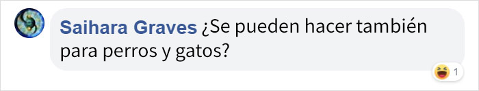Resulta que los granjeros protegen a sus terneros con orejeras para que no se congelen, y es adorable