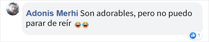 Resulta que los granjeros protegen a sus terneros con orejeras para que no se congelen, y es adorable