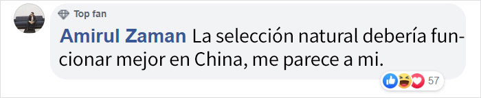 Unos turistas le tiraron piedras a un panda porque les aburría que estuviera durmiendo