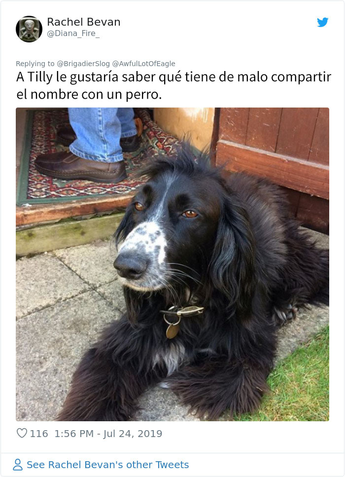 Esta embarazada exige que le cambien el nombre a un perro porque así se va a llamar su bebé, y se vuelve loca cuando la dueña se niega