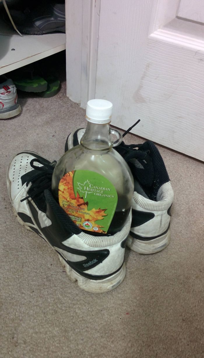 En Australia Hay Que Revisar Los Zapatos Por Si Se Han Metido Criaturas Durante La Noche. En Canadá Sin Embargo...