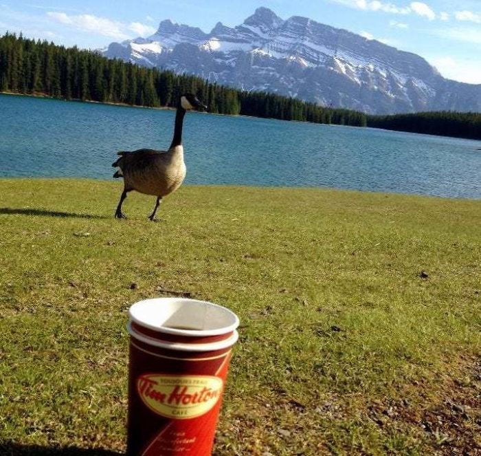 Feliz Día De Canadá