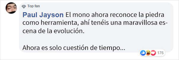 Un visitante del zoo vio a este mono afilando una roca y usándola luego para quebrar el recinto de cristal