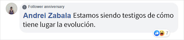 Un visitante del zoo vio a este mono afilando una roca y usándola luego para quebrar el recinto de cristal