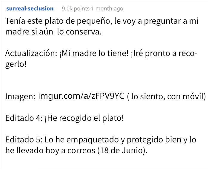 Esta chica rompió el único plato del que come su hermano autista, pidió ayuda en Reddit y la recibió