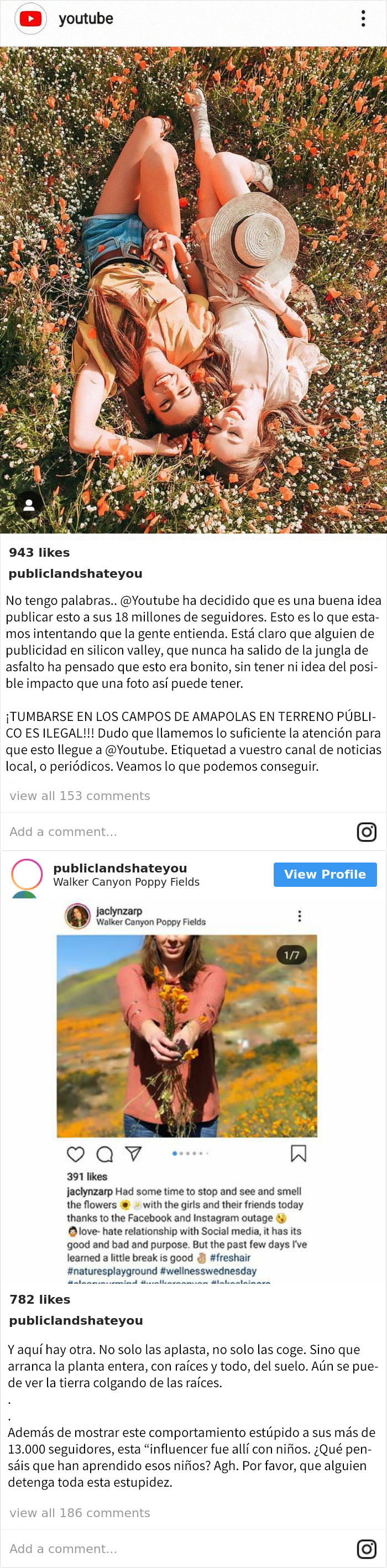 Este Vigilante Avergüenza A Los Influencers Por Su Comportamiento En Los Parques Nacionales
