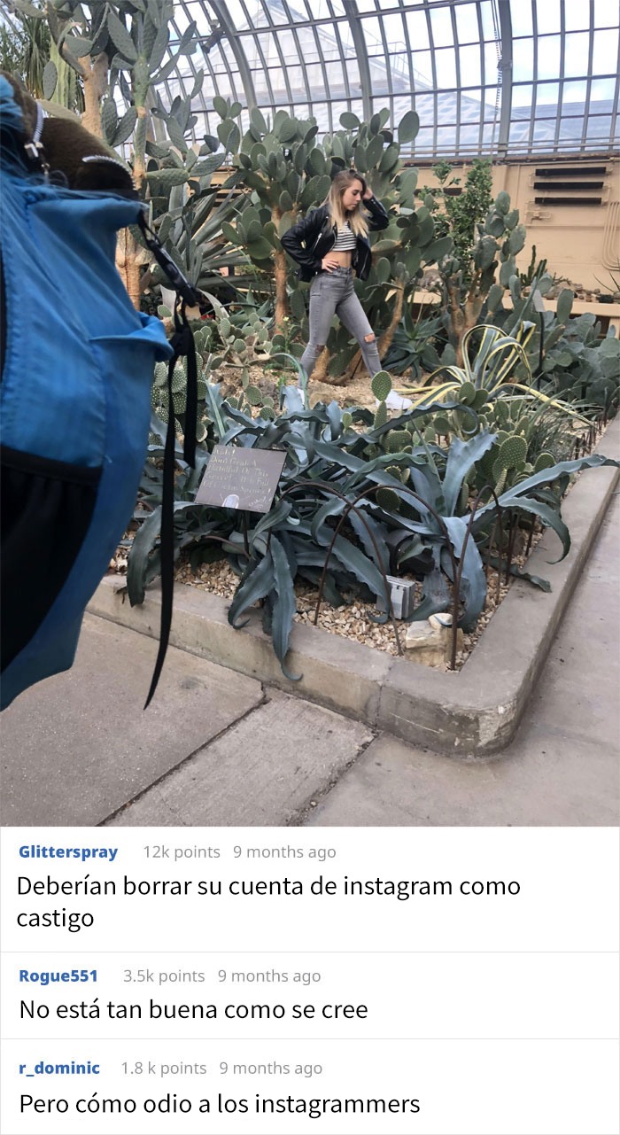 Esta Mujer Pisoteó Las Plantas De Un Invernadero Para Hacerse Fotos A Pesar De Que El Personal Le Pidió Que Parara