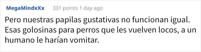 Los osos no paraban de acudir a estas colmenas para robar miel, así que el dueño decidió convertirlos en catadores de miel